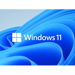 Windows 11 Pro 64-bit
