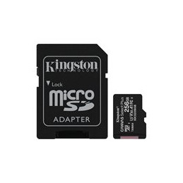 256GB Kingston MicroSD