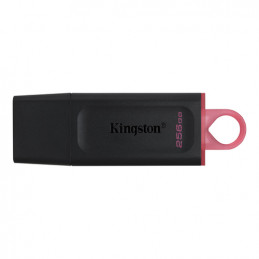256 GB USB 3.2 Kingston