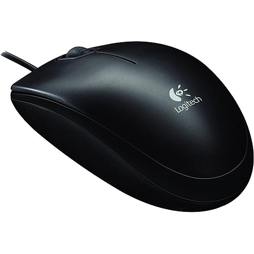 Logitech B100