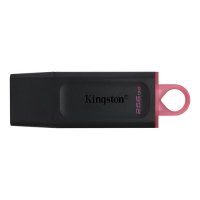 256 GB USB 3.2 Kingston