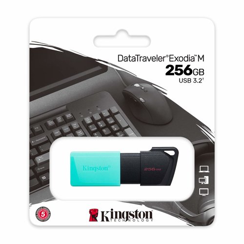 256 GB USB 3.2 Kingston